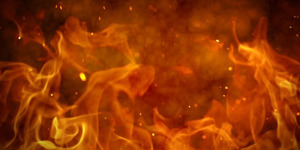 Image for Two people and dog escape after wood stove causes fire