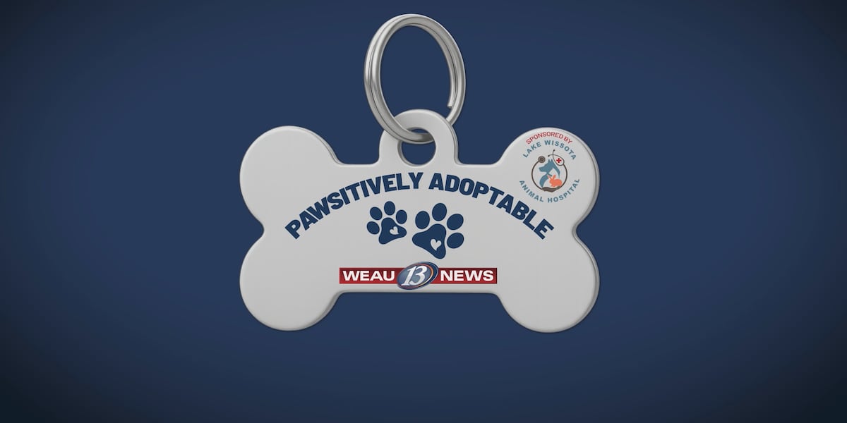 PAWSITIVELY ADOPTABLE: Theo and Maximus
