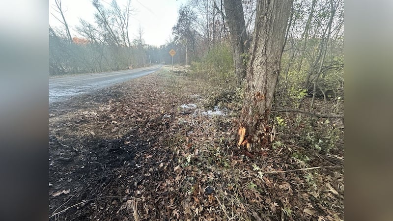 Five people died after their car crashed and caught on fire.