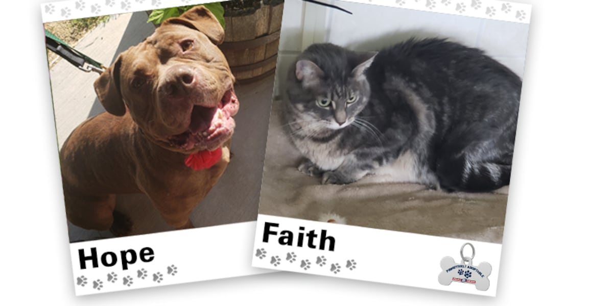 PAWSITIVELY ADOPTABLE: Hope and Faith