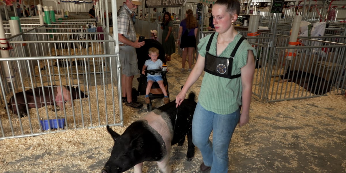 Exhibitors get their moment to shine at the Northern Wisconsin State Fair