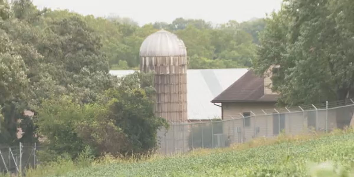 Ridglan Farms plans to wind down operations after remaining dogs transferred, group says