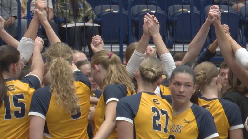 Blugolds volleyball plays host to St. Olaf.