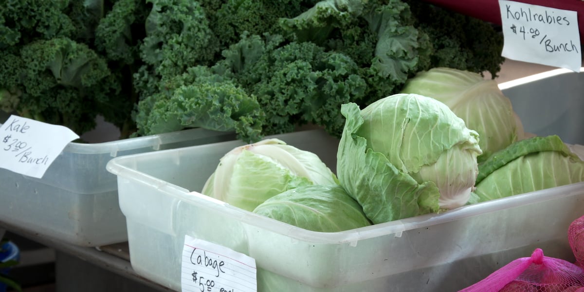 Eau Claire farmers market vendor says produce-washing steps help keep food safe amid Cyclospora