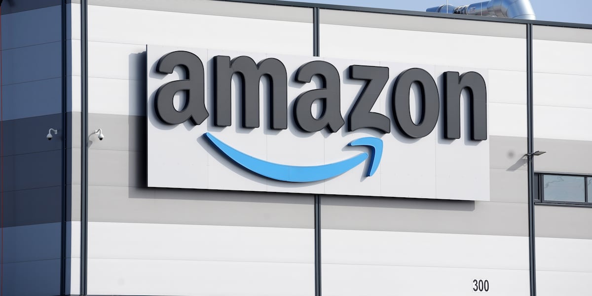 Amazon cargo plane sends up billowing cloud of smoke after overrunning runway at Miami airport