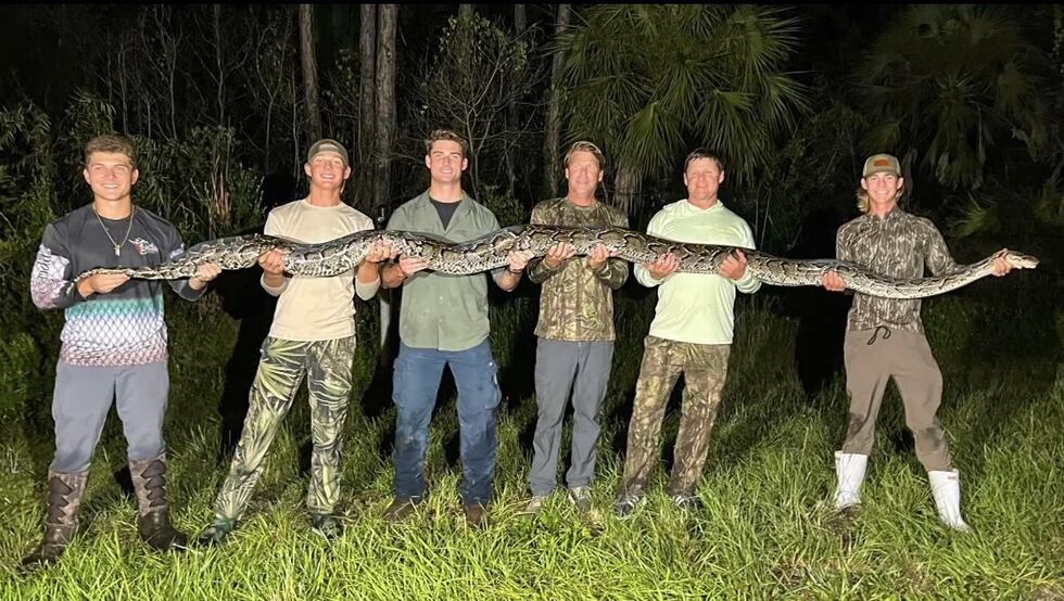 2 Inch Python Caught on camera: 18-year-old wrangles massive python