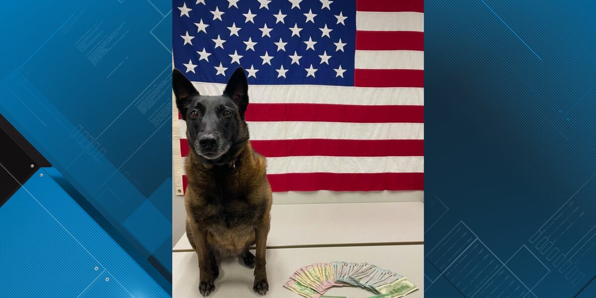 K9 assists in drug seizure in Rusk County