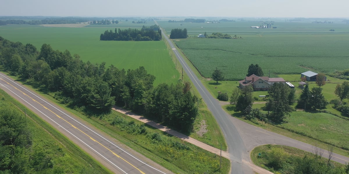 Woman in stable condition after bear attack in Barron County