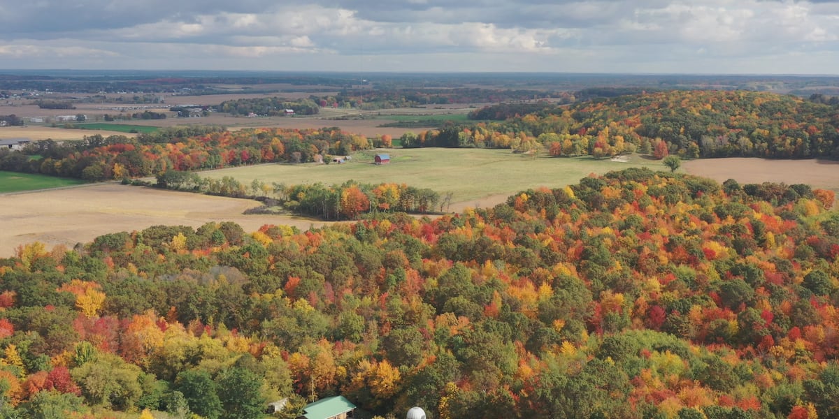 Cfc Fall Motivational Monday: Check out the Fall colors