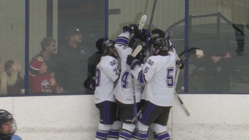 Eau Claire Memorial celebrates a goal against Superior.