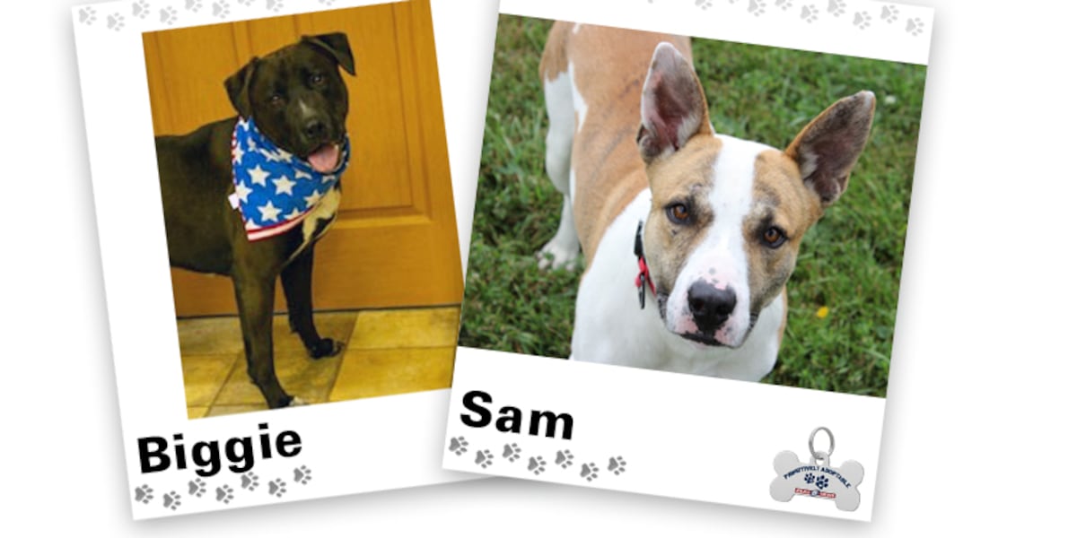 PAWSITIVELY ADOPTABLE: Biggie and Sam