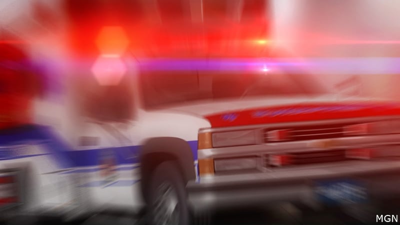 Ambulance (file image)