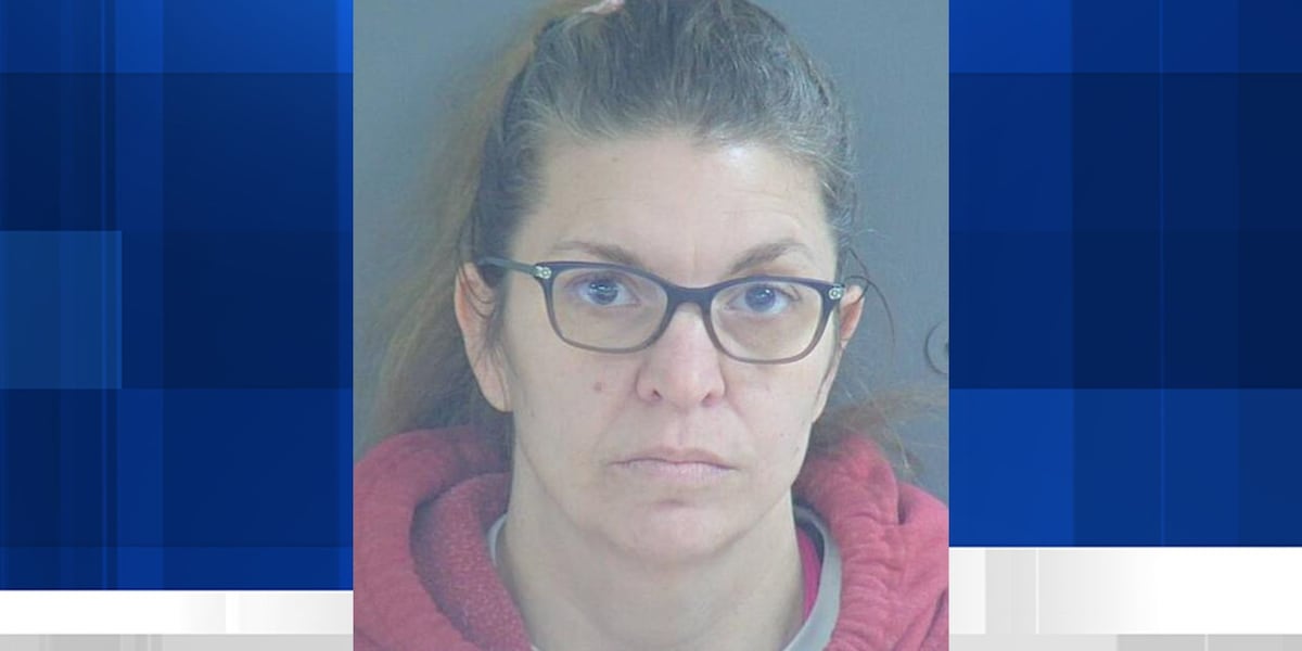 Cadott woman sentenced for stealing from Boy Scots, other community organizations