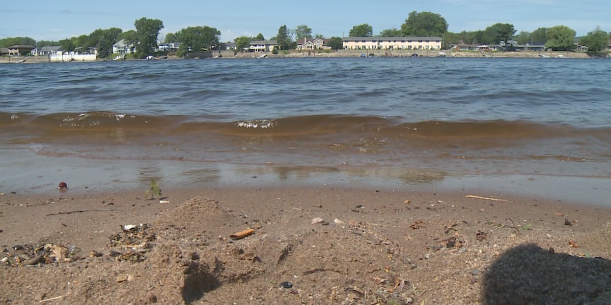 Alert! Warm Weather in Wisconsin's Coulee Region Sparks Algae Bloom Concerns - Stay Safe This Summer!