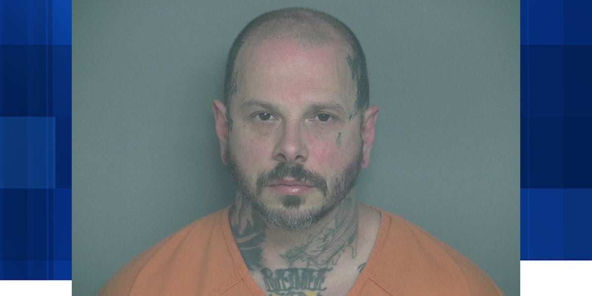 Assault News Image