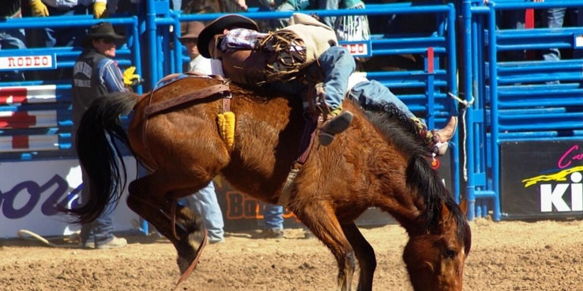 Spooner Rodeo Logo 66th Annual Heart of the North Spooner Rodeo