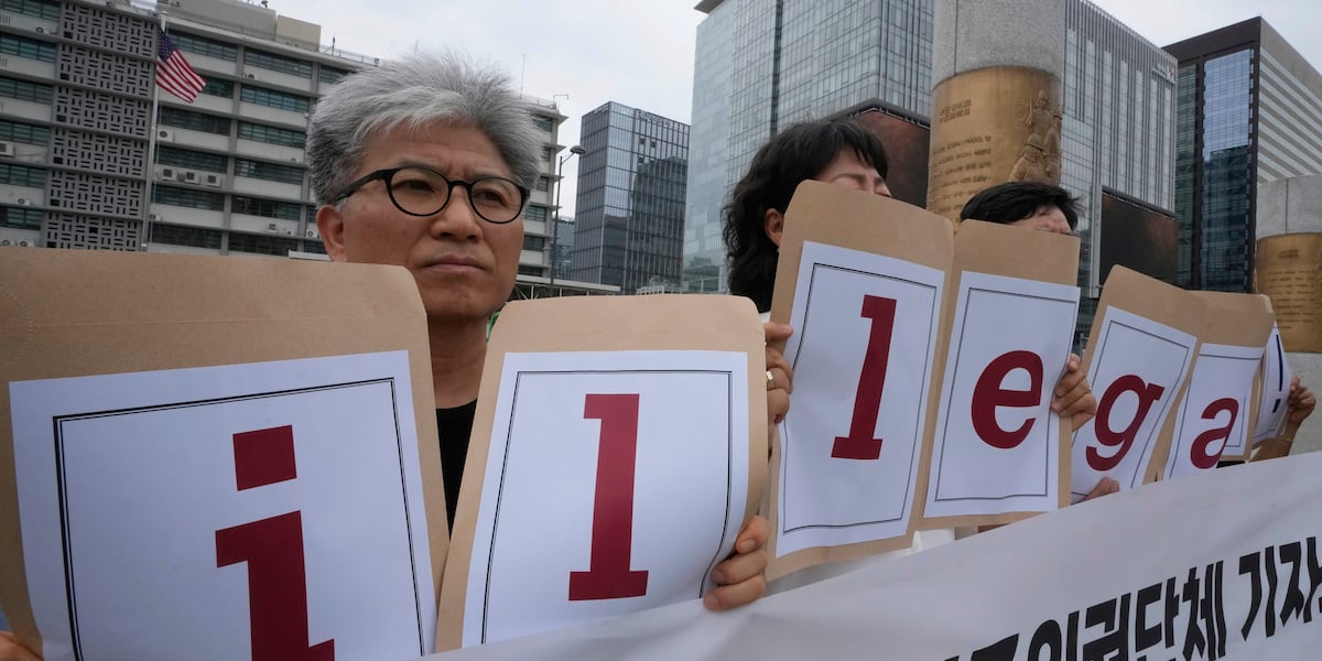 Why Did South Korea Dispatch a Plane to Rescue Workers from US Immigration Raids?