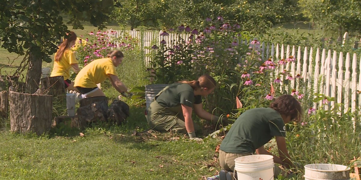 Great Rivers United Way leads volunteer effort during ‘Day of Caring'