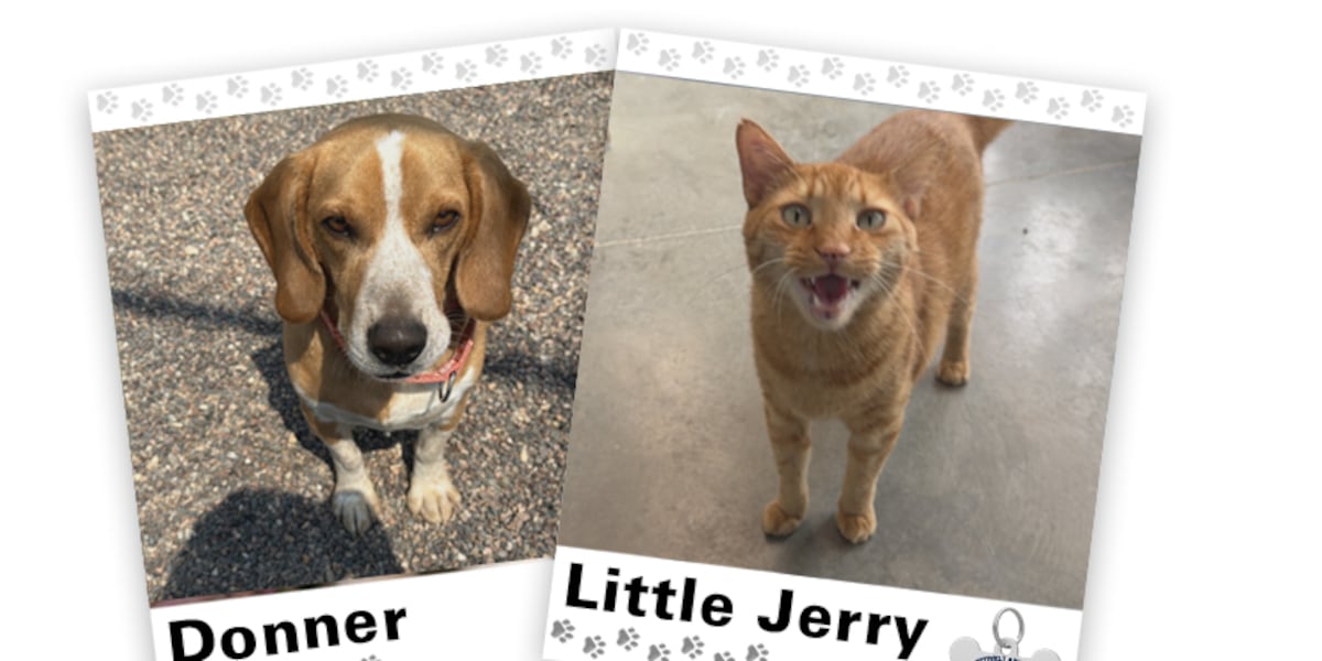 PAWSITIVELY ADOPTABLE: Donner & Little Jerry