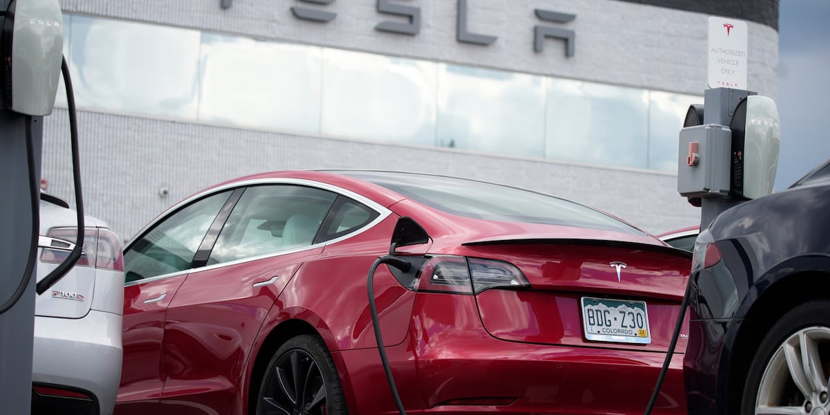 Tesla hit with probe after crashes involving a self-driving feature that Musk has boasted about