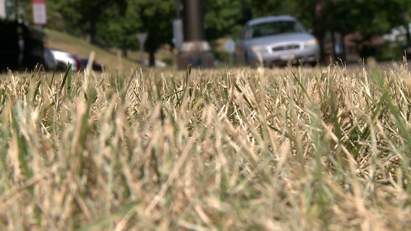 If your lawn is showing drought stress, UW-Madison Extension says you may want to leave the...