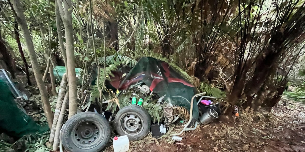 How Did a Man Manage to Hide His Three Children in a New Zealand Forest for Years?