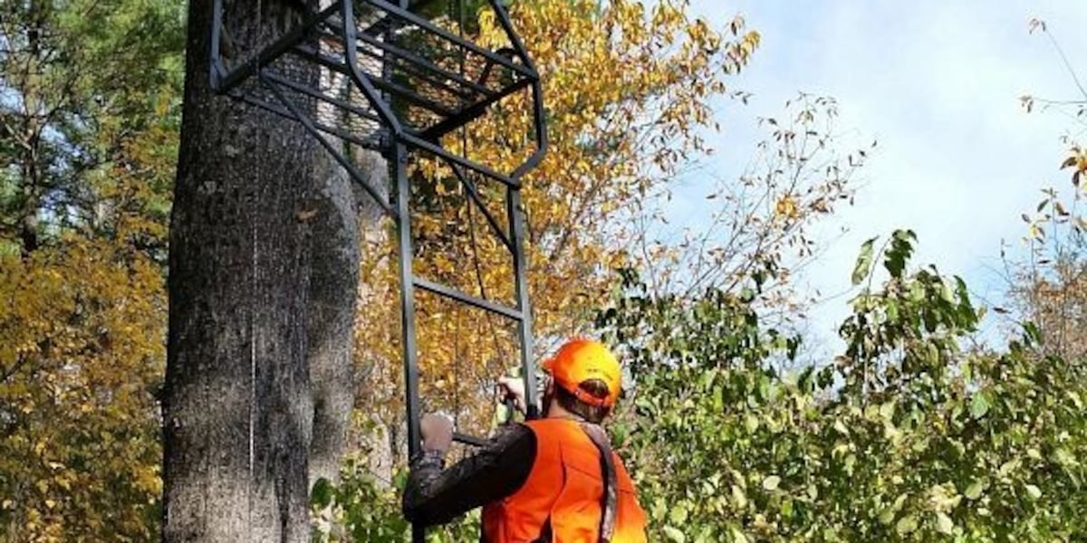 DNR counter services closed on Wednesday and Thursday