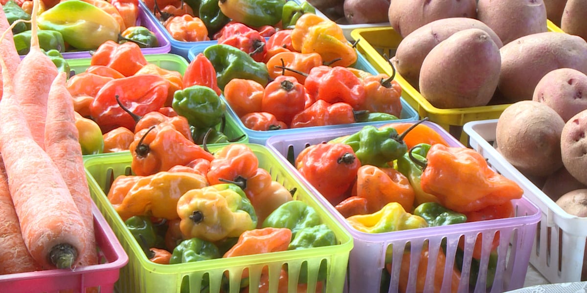 Viroqua program doubles SNAP dollars at farmers market Viroqua program doubles SNAP dollars at farmers market