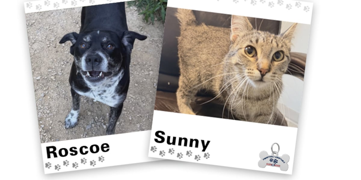 PAWSITIVELY ADOPTABLE: Roscoe and Sunny