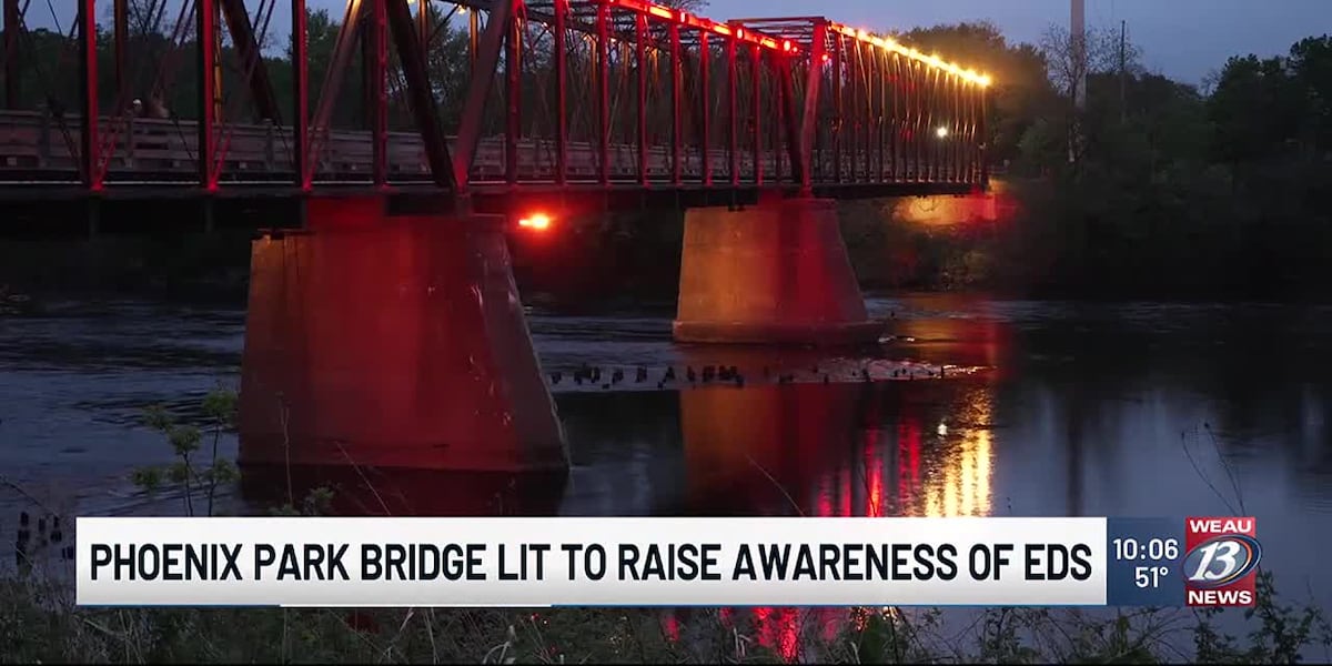 Phoenix Raveway Bridge Phoenix Park Bridge Lit to Raise Awareness of EDS