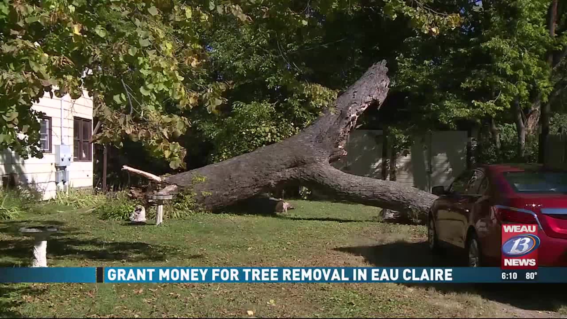 Grant Money for Tree Removal in Eau Claire
